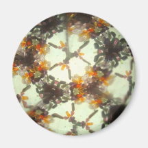 Bejeweled Kaleidescope 23 Fridge Magnets