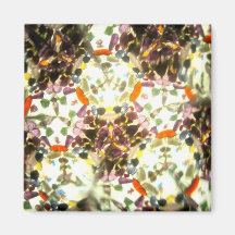 Bejeweled Kaleidescope 24 Magnet