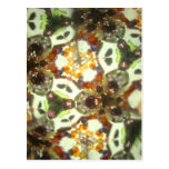 Bejeweled Kaleidescope 26 Post Card