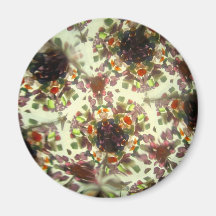Bejeweled Kaleidescope 29 Magnet
