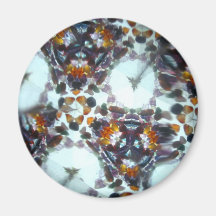 Bejeweled Kaleidescope 48 Refrigerator Magnets