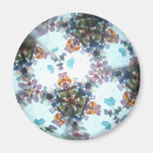 Bejeweled Kaleidescope 54 Fridge Magnet