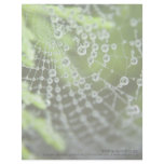 Bejewelled • Personalized Letterhead