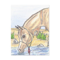 "Bejh bint Ahwa"  Postcards