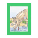 "Bejh bint Ahwa" postcards