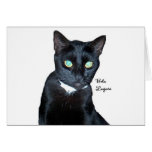 Bela the Black Cat Photo Greeting Cards