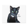 Bela the Black Cat Photo Postcard