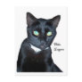 Bela the Black Cat Photo Postcard