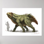 Beladron posters
