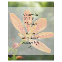Belamcanda Chinensis Bloom Flyer Design