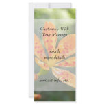 Belamcanda Chinensis Bloom Rack Card Design