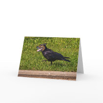 Belarus crowdog greeting card