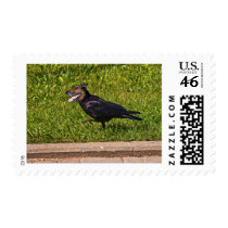 Belarus crowdog postage stamps