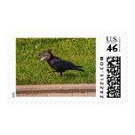 Belarus crowdog postage