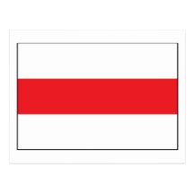 Belarus Flag (1991) Postcard