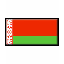 Belarus Flag t-shirts