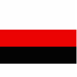 Belarusian Freedom Party, Belarus flag Acrylic Cut Outs