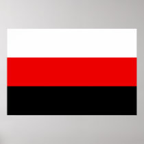 Belarusian Freedom Party, Belarus flag Poster