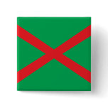Belarusian Frontier Guard, Belarus flag Pin