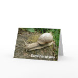 Belated Birthday Card