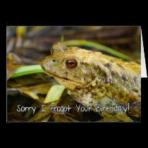 Belated Birthday Card, Sorry I Frogot Your Birthda cards