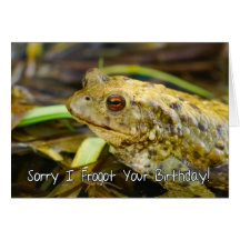 Belated Birthday Card, Sorry I Frogot Your Birthda