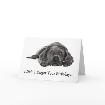 BELATED BIRTHDAY: DIDN'T FORGET: TOO LAZY, DOG GREETING CARDS by joyart