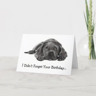 BELATED BIRTHDAY: DIDN'T FORGET: TOO LAZY, DOG card