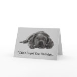 BELATED BIRTHDAY: DIDN'T FORGET: TOO LAZY, DOG CARD