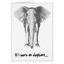 Belated Birthday - Elephant Greeting Cards