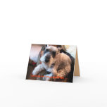 Belated Birthday, Humorous Cards