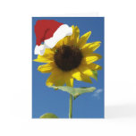 Belated Christmas cards