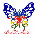 Beledi Haiti t-shirts
