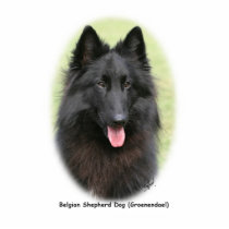 Belg Shep 9Y387D-053 photo sculptures