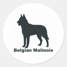 Belga Malinois Pegatina