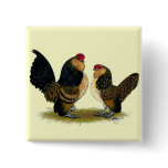 Belgian d'Anvers Bantams:  Quail Pinback Button