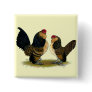 Belgian d'Anvers Bantams:  Quail Pinback Button