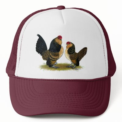 Belgian d'Anvers Bantams:  Quail Trucker Hats by diane_jacky