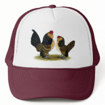 Belgian d'Anvers Bantams:  Quail Trucker Hats