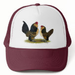 Belgian d'Anvers Bantams:  Quail hats