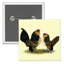 Belgian d'Anvers Bantams:  Quail Pinback Button