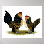 Belgian d'Anvers Bantams:  Quail posters