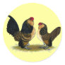 Belgian d'Anvers Bantams:  Quail Round Stickers