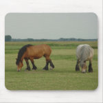 Belgian Draft Horse #3 mousepad