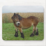 Belgian Draft Horse #6 mousepad