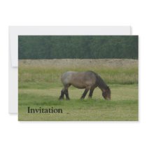 Belgian Draft Horse-brown/grey grazing Custom Invites