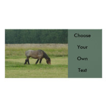 Belgian Draft Horse-brown/grey grazing Photo Greeting Card