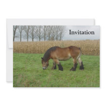 Belgian Draft Horse-brown with black mane Invites