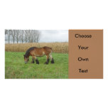 Belgian Draft Horse-brown with black mane Photo Cards