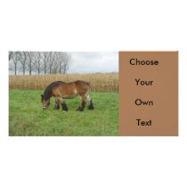 Belgian Draft Horse-brown with black mane Photo Cards